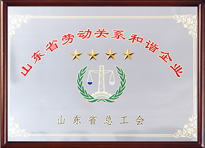 山东省劳动关系和谐企业